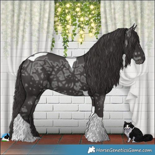 Horse Color:Smoky Black Ice Tobiano 