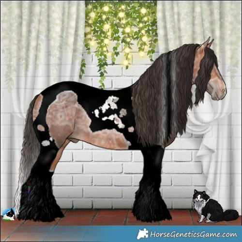 Horse Color:Bay Ice Tobiano Rabicano 