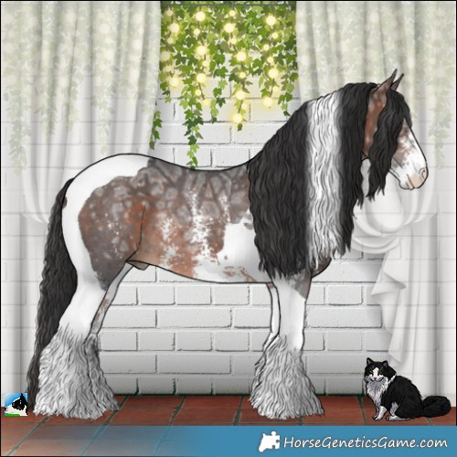 Horse Color:Brown Ice Sabino Tobiano Rabicano 