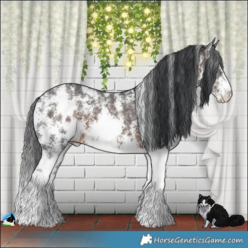 Horse Color:Brown Ice Sabino Rabicano 