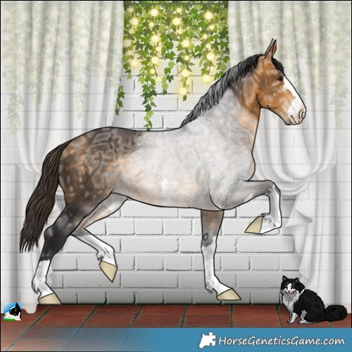 Horse Color:Buckskin Ice Rabicano 