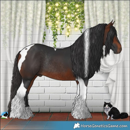 Horse Color:Bay Tobiano Rabicano 