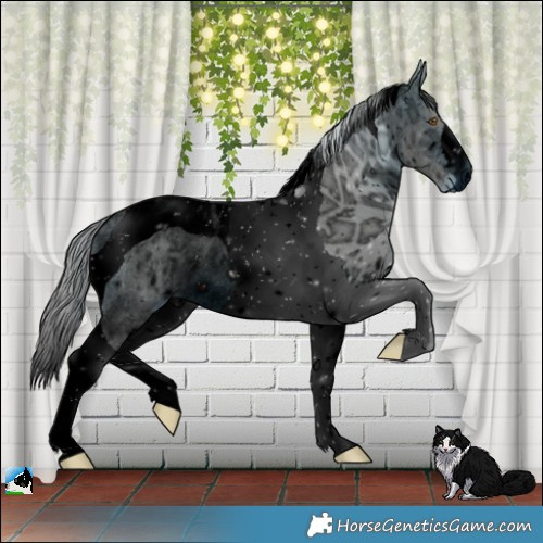 Horse Color:ERROR: UNKNOWN ANOMALY