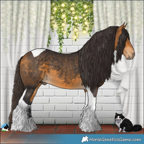 Horse Color:Buckskin Tobiano 