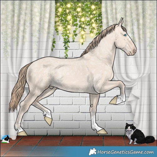Horse Color:Perlino Ice Dun Rabicano 
