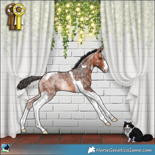 Horse Color:Bay Ice Tobiano Rabicano 