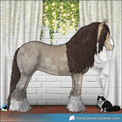 Horse Color:Classic Champagne Ice Rabicano 