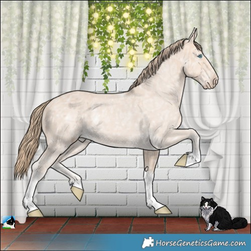 Horse Color:Perlino Ice Tobiano Rabicano 