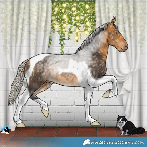 Horse Color:Silver Buckskin Ice Tobiano Rabicano 