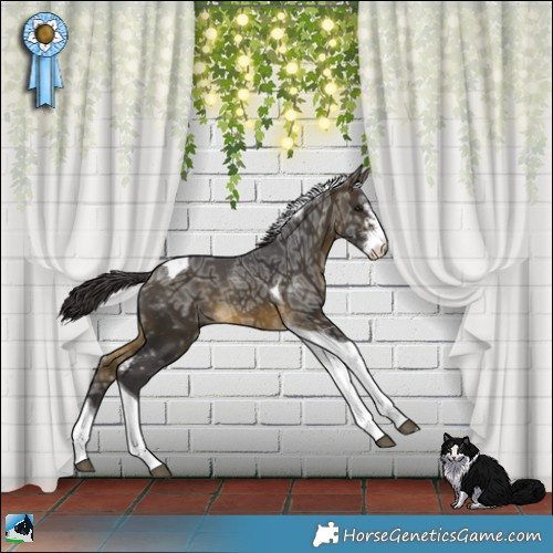 Horse Color:Buckskin Ice Sabino Tobiano 