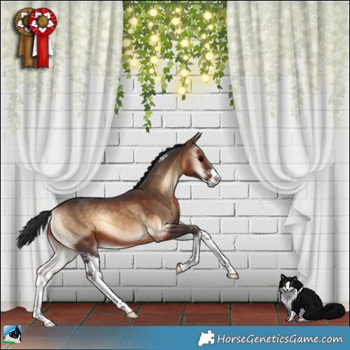 Horse Color:Brown Onyx Sabino 