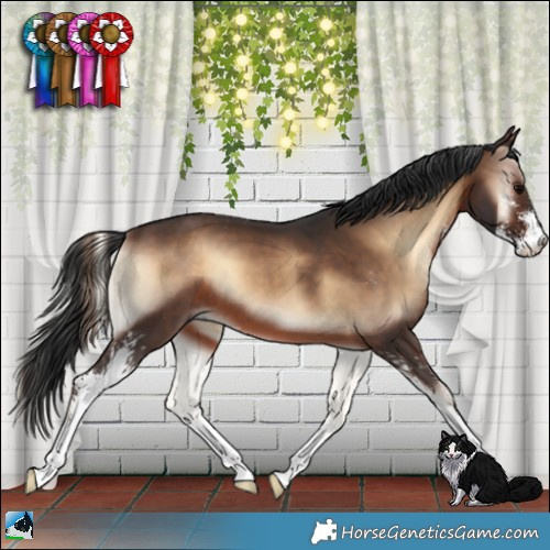 Horse Color:Brown Onyx Sabino 