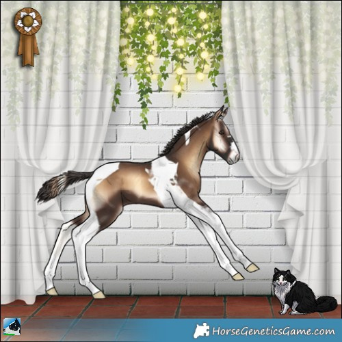 Horse Color:Liver Red Onyx Tobiano 