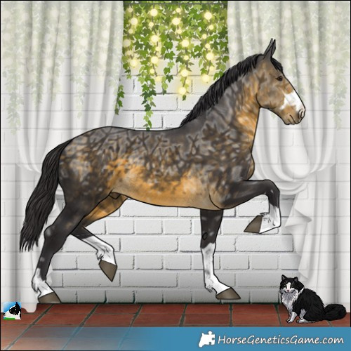 Horse Color:Buckskin Ice 