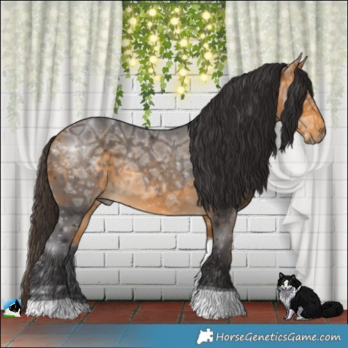 Horse Color:Buckskin Ice Tobiano Rabicano 