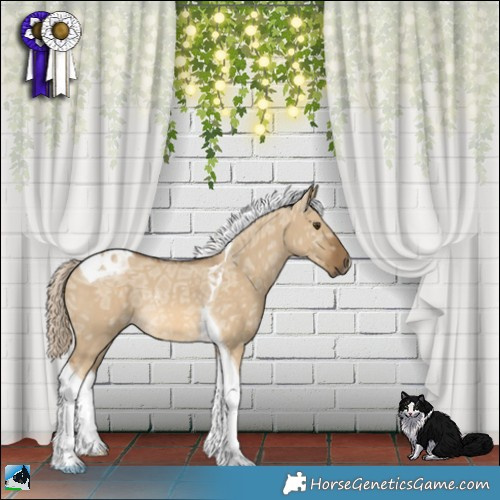 Horse Color:Chocolate Palomino Ice Dun Tobiano Rabicano 