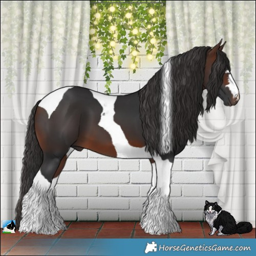 Horse Color:Brown Tobiano 