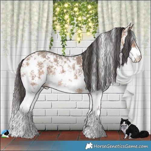 Horse Color:Bay Dun Sabino 
