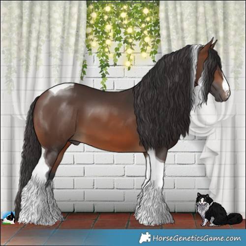Horse Color:Brown Tobiano 