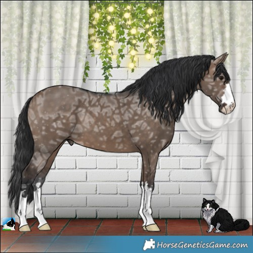 Horse Color:Brown Ice Dun 