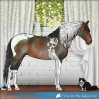 Horse Color:Bay Tobiano Rabicano 