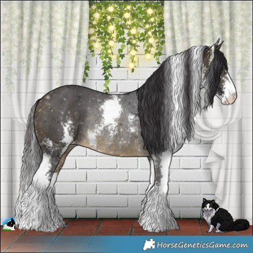 Horse Color:Buckskin Sabino Rabicano 