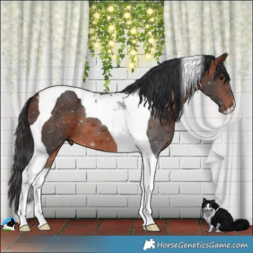 Horse Color:Bay Mushroom Tobiano 