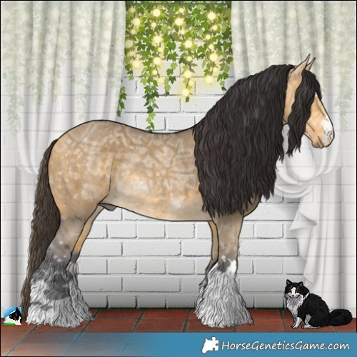 Horse Color:Buckskin Ice Dun Rabicano 