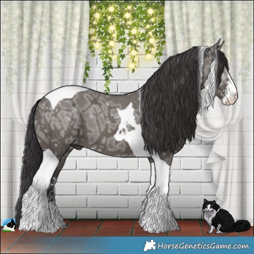 Horse Color:Smoky Grullo Ice Sabino Tobiano Brindle 