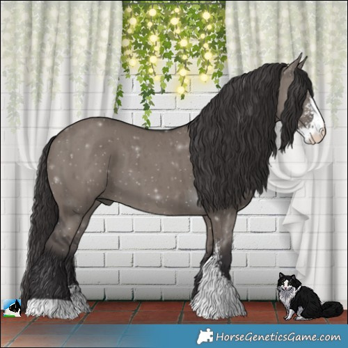 Horse Color:Smoky Grullo Mushroom Sabino Brindle 