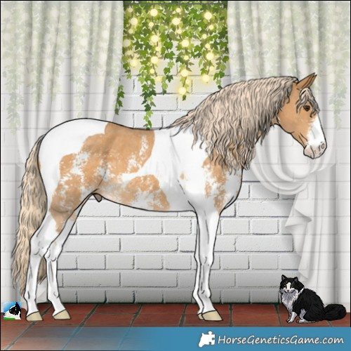 Horse Color:Palomino Sabino Tobiano 