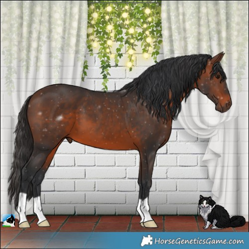 Horse Color:Brown 