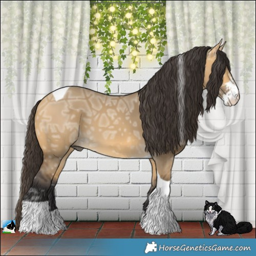 Horse Color:Buckskin Ice Dun Sabino Tobiano 