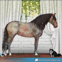 Horse Color:Bay Ice Rabicano 