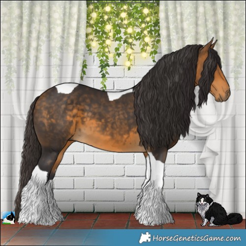 Horse Color:Buckskin Tobiano 