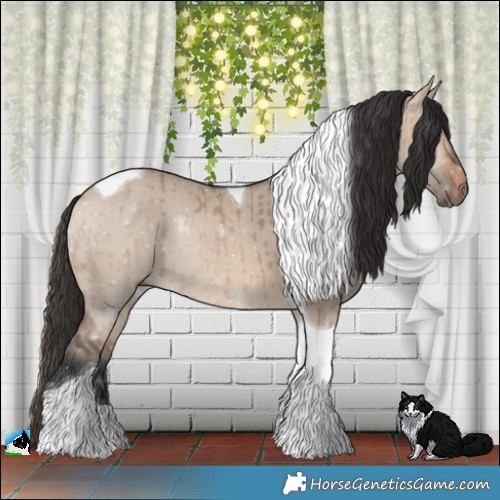 Horse Color:Bay Dun Mushroom Tobiano Rabicano Brindle 