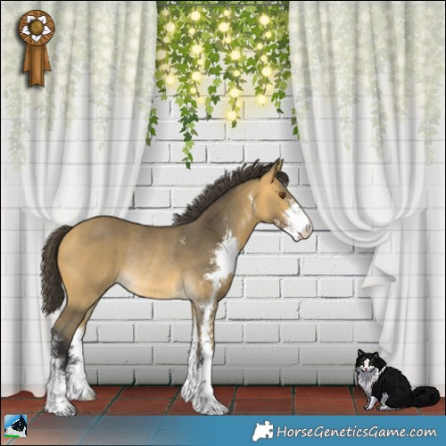 Horse Color:Buckskin Mushroom Sabino Rabicano 