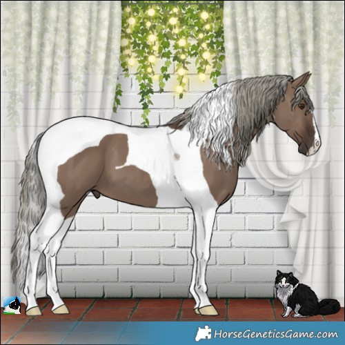 Horse Color:Liver Red Dun Mushroom Tobiano 