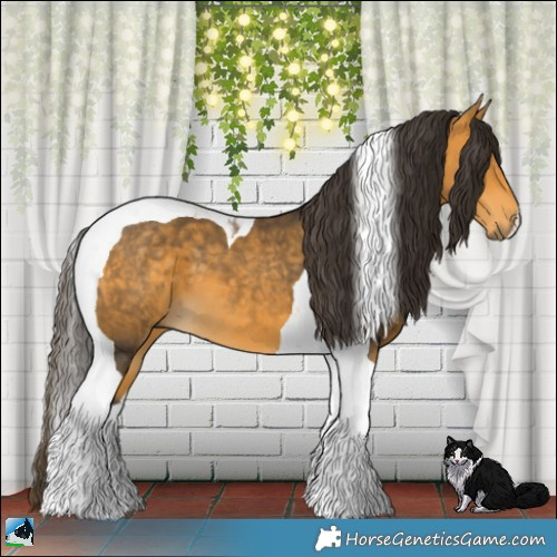 Horse Color:Buckskin Tobiano