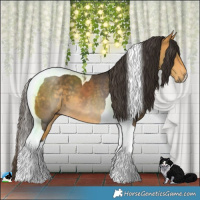Horse Color:Buckskin Tobiano