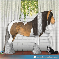 Horse Color:Buckskin Tobiano