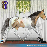 Horse Color:Buckskin Ice Tobiano