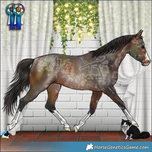 Horse Color:Brown Ice Rabicano 