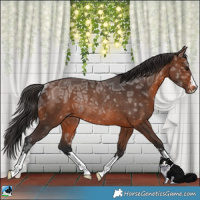 Horse Color:Brown Ice Rabicano 