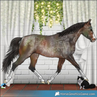 Horse Color:Brown Ice Rabicano