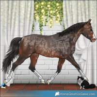 Horse Color:Brown Ice Rabicano 