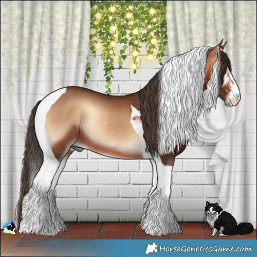 Horse Color:Bay Onyx Sabino Tobiano Rabicano 