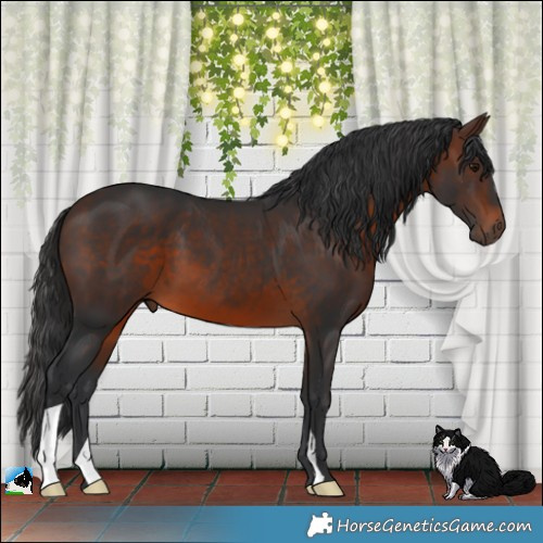 Horse Color:Brown 