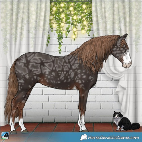 Horse Color:Liver Chestnut Ice Sabino Tobiano Rabicano