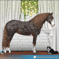 Horse Color:Liver Chestnut Ice Sabino Tobiano Rabicano 